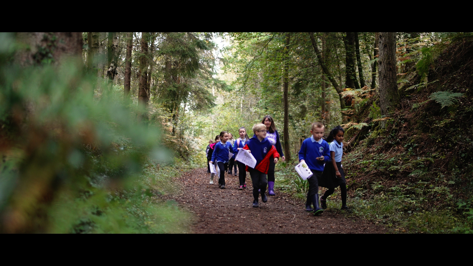 Sustaining Caerphilly Landscapes - Caerphilly Woodlands Trust 