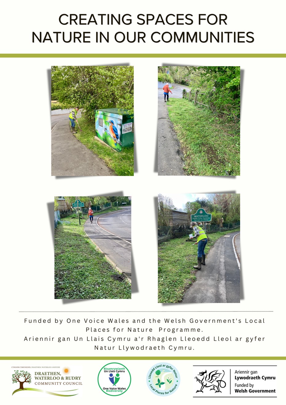 Creating spaces for nature in our communities